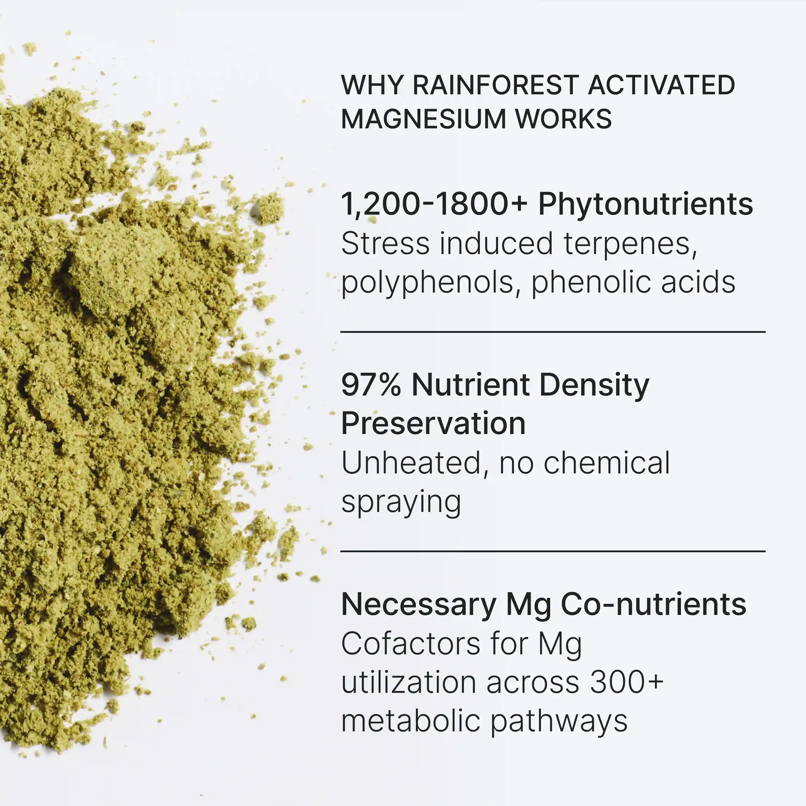 Rainforest Activated Magnesium - Image 2