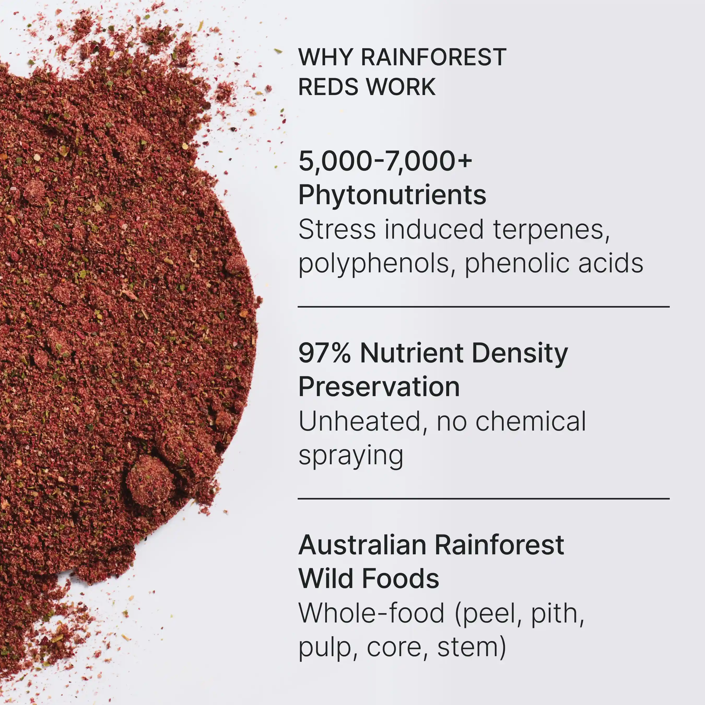 Rainforest Reds - Image 2